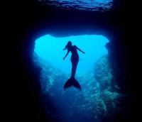 Mermaid Silver's Avatar