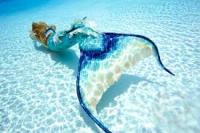 Mermaid Abigail :)'s Avatar