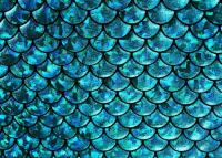 Floridian Mermaid's Avatar