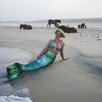 GreenMountainMer's Avatar