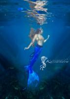 Mermaid Kassandra's Avatar