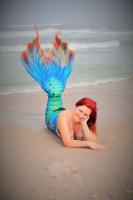 Mermaid Kimberlee's Avatar
