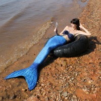 Mermaid Gipsy's Avatar