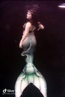 MermaidCrystall's Avatar
