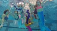 Mermaid Swim School's Avatar