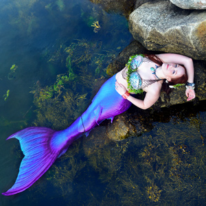 Winged Mermaid's Avatar
